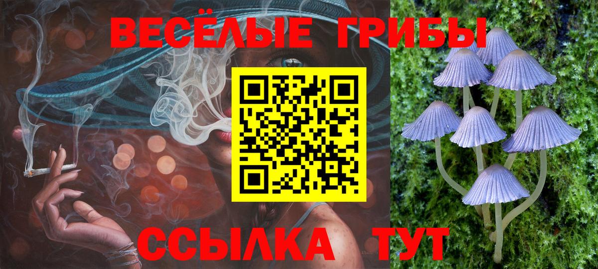 Псилоцибиновые грибы мицелий Татарск